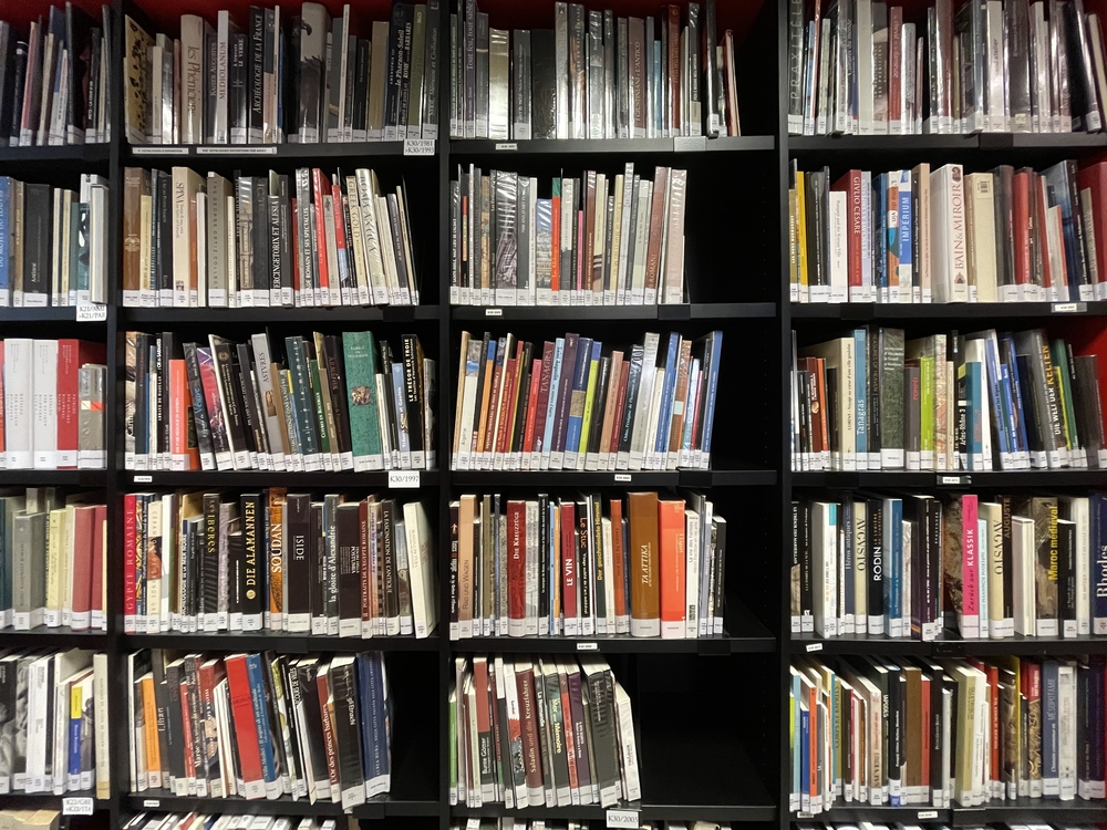 Vue rapprochée des étagères de la bibliothèque du musée Saint-Raymond